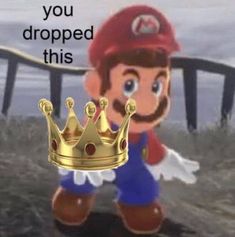 an image of mario with a crown on it's head and caption that reads, you dropped this