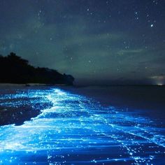 the water is glowing blue at night with stars in the sky and on the ground