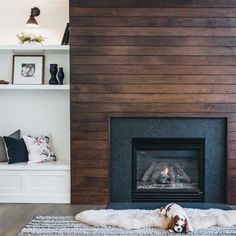 a dog laying on a rug in front of a fireplace