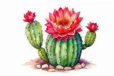 a watercolor painting of a cactus with red flowers