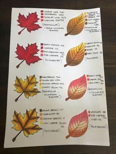 a sheet of paper that has different colored leaves on it, and the names of each leaf