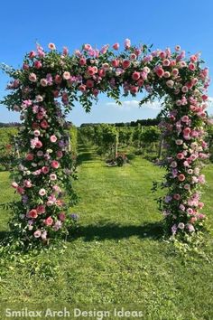 an arch made out of pink roses in the middle of a green field with blue sky