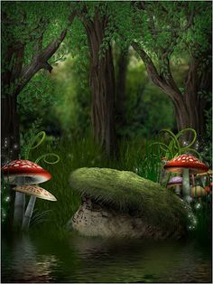 two mushrooms in the forest with water and trees