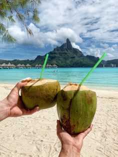 two coconuts being held in front of the ocean with mountains in the back ground