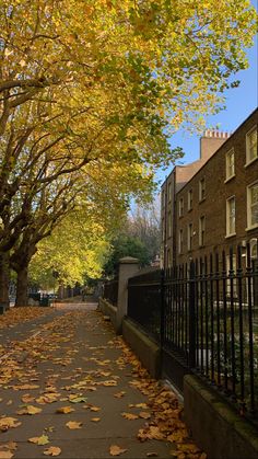 an autumn scene with leaves on the ground and trees lining the street in front of buildings