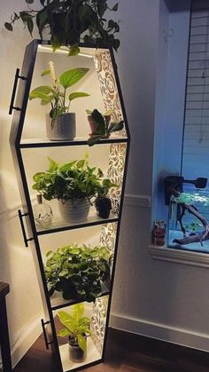 a shelf filled with potted plants next to a wall mounted planter in a corner