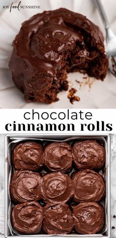 chocolate cinnamon rolls in a pan with one bite taken out and the other half eaten