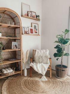 a living room with wicker furniture and plants on the shelves, including a large potted plant