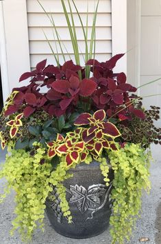 a planter filled with purple and yellow flowers