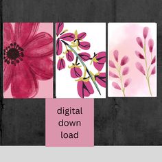 three paintings with pink flowers on them and the words digital down load