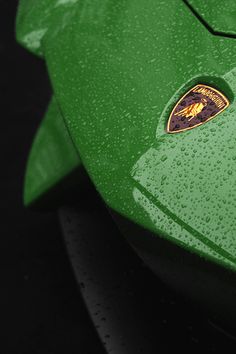 the front end of a green sports car with a gold emblem on it's side