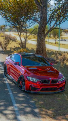 a red sports car parked on the side of a road next to a large tree