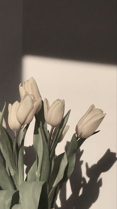 a vase filled with white flowers on top of a table