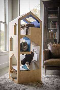 two cats are sitting in a cat house made out of plywood and some cardboard