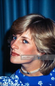 the princess of wales in an official portrait