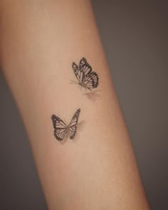 two small butterflies on the arm