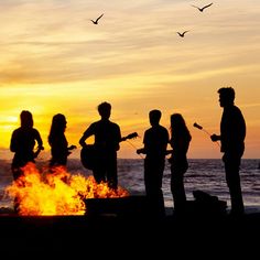 a group of people standing around a campfire at the beach with birds flying overhead