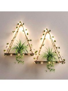 two wooden shelves with plants and lights on them