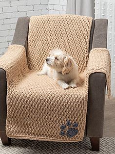 a dog sitting in a chair with a blanket on it