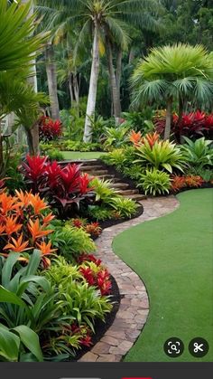 an image of a garden with flowers and plants in the foreground, on instagram