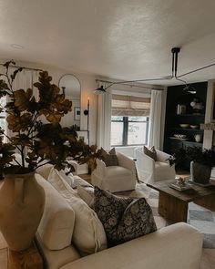 a living room filled with furniture and a tall plant in the middle of the room