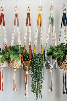 there are many different plants hanging from the hooks on the wall, each with their own tassels