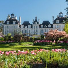 a large building surrounded by lots of flowers