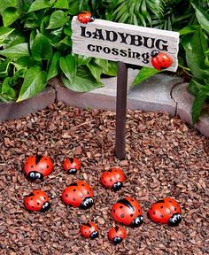 ladybug crossing sign surrounded by little ladybugs in flower bed with green plants