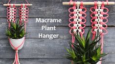 two macrame plant hangers with succulents and plants in them