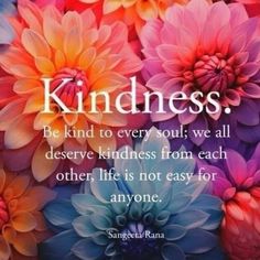 colorful flowers with a quote about kindness on the top and bottom right corner, in front of an image that reads, be kind to every soul we all deserves