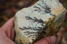 a hand holding a piece of rock with black and white designs on the rocks surface