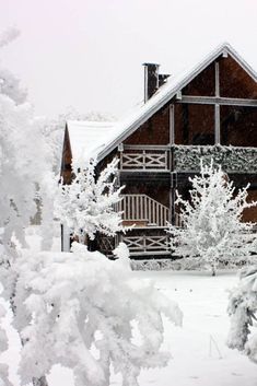 a house covered in snow next to trees and bushes with snow on the ground around it