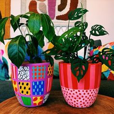 two potted plants sitting on top of a wooden table