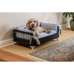 a dog sitting on a couch with a stuffed animal in it's lap, next to a rug