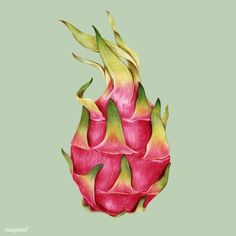 a drawing of a dragon fruit with green leaves on it's side and pink flowers in the middle