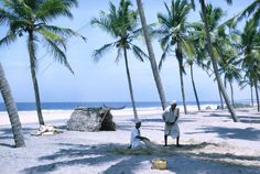 two people standing on the beach near palm trees