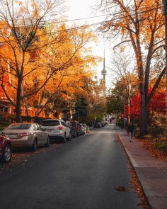 cars parked on the side of a road in front of trees with orange and yellow leaves