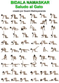 an image of a woman doing yoga poses in different positions with the words, bidala namaskar salud al gato