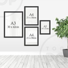 three black frames are hanging on the wall next to a potted plant in front of them