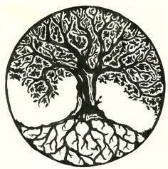 a black and white drawing of a tree with its roots in the shape of a circle