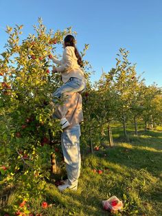 a woman picking apples from an apple tree