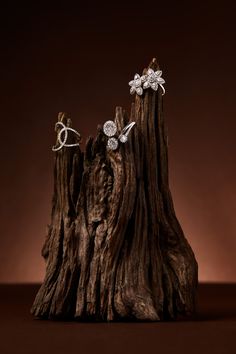 Jewellery Photography by Karan Gill. Rustic browns with rings on driftwood. Luxury Jewelry Product Photography, Rings Product Photography, How To Photograph Jewelry, Jewelry Product Photography, Driftwood Photography, Logo Bee, Jewellery Advertising, Jewelry Product Shots