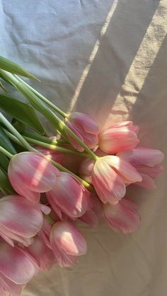 a bunch of pink tulips sitting on top of a white sheet