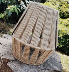 a lamp that is sitting on top of a tree stump