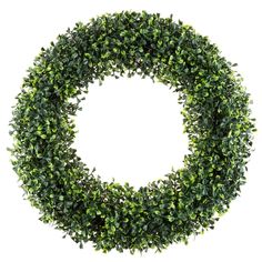 a wreath made out of green leaves on a white background with the letter o in the middle