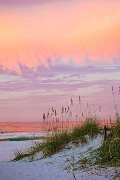 a bench sitting on top of a sandy beach next to the ocean under a pink sky