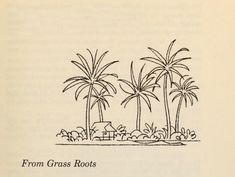 an open book with black ink drawing of three palm trees in front of a house