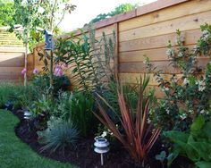 a garden with lots of different plants and flowers in the grass next to a wooden fence