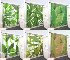 four pictures of different types of green plants on the wall in a bathroom with white cabinets