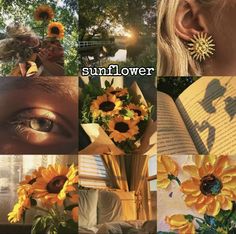 sunflower collage with book and flowers in the foreground, woman's eyes open